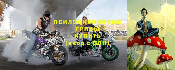 spice Шадринск